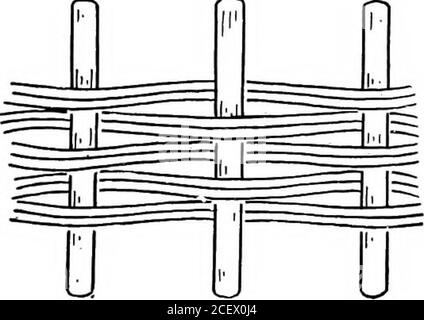 . Basketry pratico ed artistico. Fig. 8.-due tessitori, uno che segue l'altro. Tessitura doppia: Due tessitori sono useduneati. I cestelli interi possono essere fatti con questa tessitura. E 'molto efficace usato come bendson semplici cestini rattan.. Fig. Tessitura doppia. Accoppiamento.- due tessitori sono inseriti beinddue raggi successivi e incrociati tra 26 Basketry pratica, che portano avanti il tempo di tessitore sotto. Questo può essere utilizzato su un numero dispari o un numero pari di raggi. Fa un buon tappeto di finitura o cesto di fora, e può essere usato sui cestelli di sidesof per dividere le tessiture differenti. Foto Stock