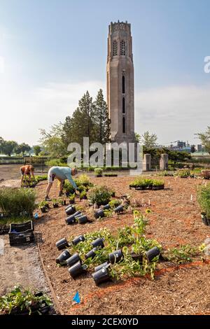 Detroit, Michigan - UN giardino pubblico di 2.6 acri, 4.2 milioni di dollari, progettato da Piet Oudolf, importante designer olandese di giardini, è piantato su Belle Isle, un'isola Foto Stock