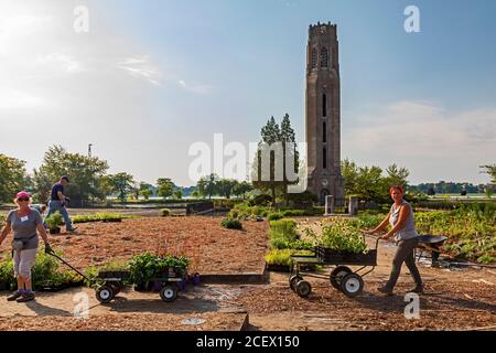 Detroit, Michigan - UN giardino pubblico di 2.6 acri, 4.2 milioni di dollari, progettato da Piet Oudolf, importante designer olandese di giardini, è piantato su Belle Isle, un'isola Foto Stock