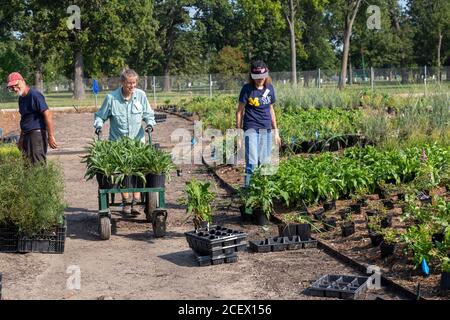 Detroit, Michigan - UN giardino pubblico di 2.6 acri, 4.2 milioni di dollari, progettato da Piet Oudolf, importante designer olandese di giardini, è piantato su Belle Isle, un'isola Foto Stock