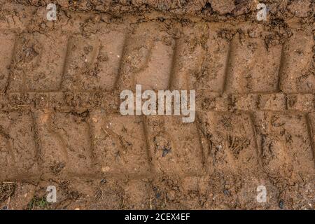 Guardando verso il basso in primo piano sui cingoli del bulldozer impressi nel fango in un cantiere in estate Foto Stock