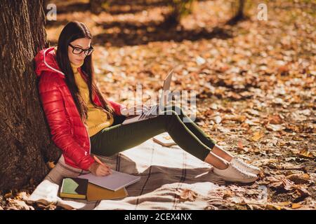 Foto laterale profilo corpo completo di smart focalizzata ragazza hanno giubbotto rosso seduto sotto albero autunno parco prato a scacchi plaid studio globale ricerca laptop Foto Stock