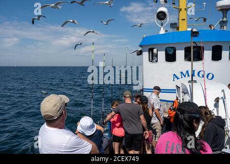 Malmo, Svezia - 6 agosto 2020: Persone in un viaggio di pesca in cerca di Codfish e sgombro. Oceano blu e cielo sullo sfondo Foto Stock