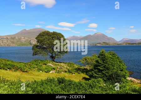 Piccoli alberi lussureggianti che si affacciano sul lago Sheildaig con le montagne Torridon in lontananza. West Highlands, Scozia, Regno Unito Foto Stock