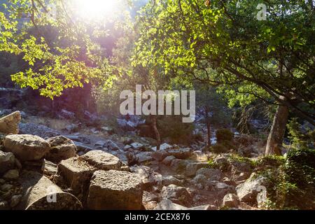 Vista dalle antiche rovine di Termessos o Thermessos nei Monti Taurus, provincia di Antalya, Turchia. Termessos Città Antica. Foto Stock