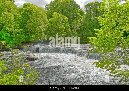 Fiume Ure Upper Falls delle cascate di Aysgarth nel Parco Nazionale delle valli dello Yorkshire, North Yorkshire, Inghilterra. Foto Stock