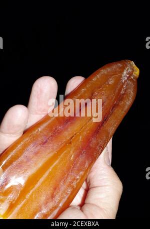 Bottarga (uova di pesce) cibo tipico della Sardegna, Italia Foto Stock