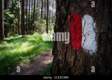 Panchina lungo un sentiero nelle Alpi austriache con un cartello rosso bianco dipinto su un tronco di alberi, l'altopiano di Mieminger, Tirolo, Austria Foto Stock