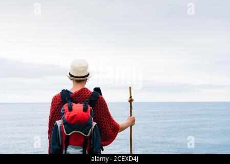 Vista posteriore tagliata di un'escursionista femminile irriconoscibile con bastone da trekking in piedi contro il cielo nuvoloso grigio e godendo la libertà durante il pellegrinaggio Attraverso la Spagna Foto Stock