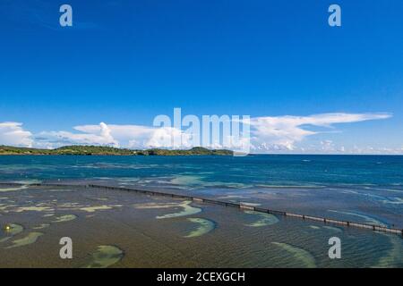 Le spiagge caraibiche sono in declino a causa delle alghe di Sargasum. Le recinzioni sono installate nel mare questo è il caso qui nella città di Vauclin in Martinica. Foto Stock