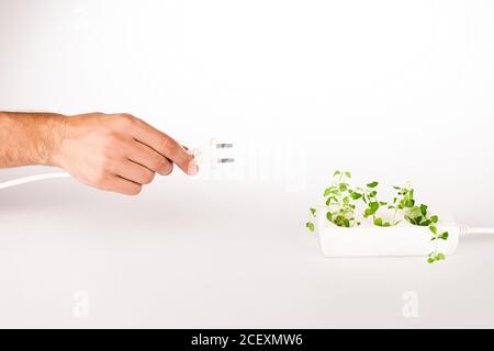 vista tagliata di uomo che tiene la spina di alimentazione vicino alla pianta verde aumento del socket in power extender su sfondo bianco Foto Stock