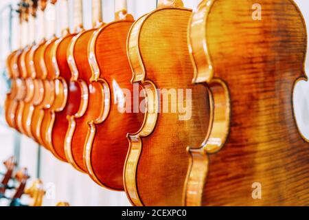 Violini lucidi e contemporanei appesi a parete in fila in luminosi colori negozio di strumenti musicali Foto Stock