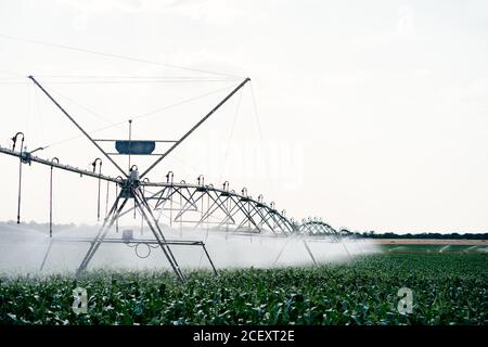 Irrigatore a perno centrale utilizzato per l'irrigazione di campi agricoli con verde piante in terreni agricoli Foto Stock