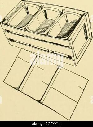 . Ciclopedia dell'orticoltura americana, comprendente suggerimenti per la coltivazione di piante orticole, descrizioni delle specie di frutta, ortaggi, fiori e piante ornamentali vendute negli Stati Uniti e in Canada, insieme a schizzi geografici e biografici, e una sinossi del regno vegetale. Diverse stagioni dell'anno. Così, con i pomodori inChicago e altri mercati occidentali, la fornitura all'inizio della primavera è in gran parte dalla Florida, dove l'istone usanza raccogliere verde, avvolgere in carte e imballare nella cassa Georgia0-basket. Fig. 1610. Questo stile di imballaggio e di imballaggio ora d Foto Stock