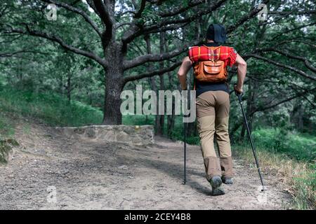 Vista posteriore del viaggiatore maschile irriconoscibile con zaino e trekking pali che camminano lungo la strada sabbiosa nei boschi durante la vacanza Foto Stock