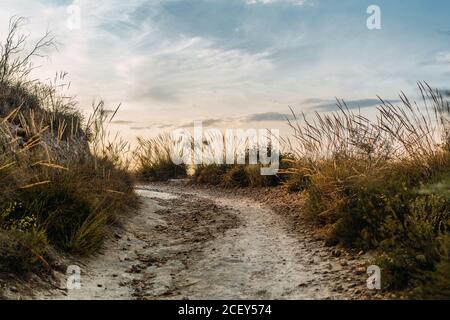 Strada sterrata curvy con puddle che corre attraverso il campo con alto punta l'erba contro il cielo nuvoloso durante la sera d'estate in campagna Foto Stock