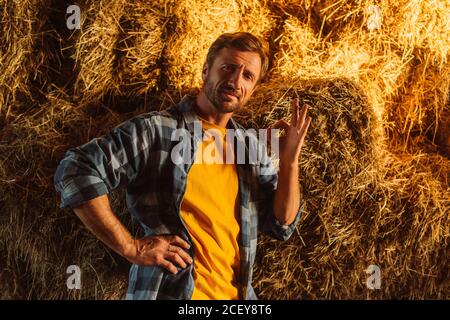 agricoltore in camicia plaid in piedi con la mano sull'anca e. mostra movimento ok vicino al blocco fieno Foto Stock