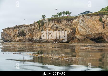 Scogliere rocciose a Shell Beach, California Foto Stock
