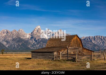 Molton fienile e le montagne Teton in luce del mattino lungo Mormon Row nel Grand Teton National Park Foto Stock