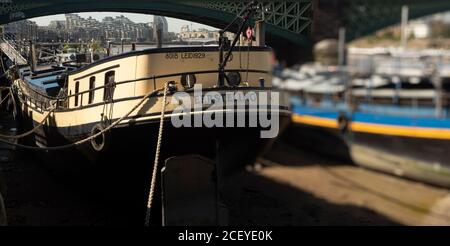 Houseboats si oppone all'architettura di gentrifificazione lungo il fiume Tamigi a Battersea, Greater London, England, United Kingdom, Europe Foto Stock