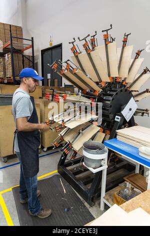 Un operaio unisce i due pezzi di legno di abete rosso per le parti superiori della chitarra su una speciale macchina di bloccaggio nella fabbrica di chitarra di Taylor a Tecate, Me Foto Stock