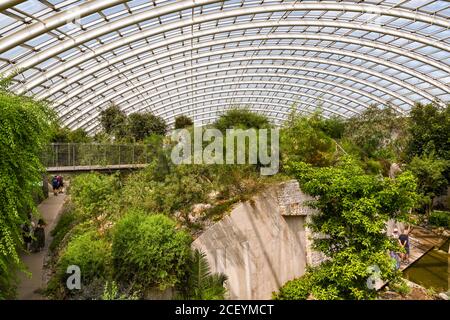 Carmarthen, Galles - Agosto 2020: Interno della grande cupola curva della casa di vetro al Giardino Botanico Nazionale del Galles Foto Stock