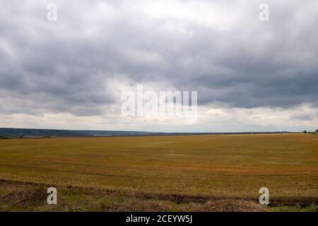 Nuvole di neve su un campo di grano. Bellissimo paesaggio in tempo nuvoloso. Foto Stock