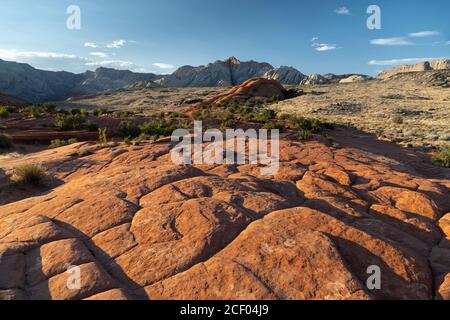 Dune pietrificate presso lo Snow Canyon state Park, Ivins, Utah, USA Foto Stock