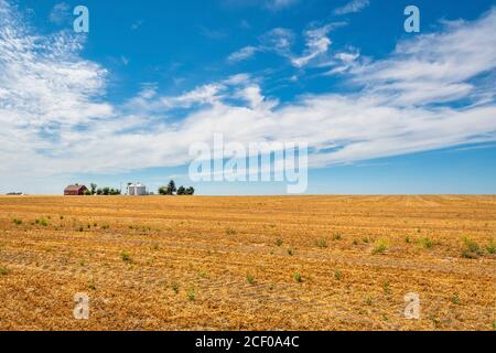 Una piccola fattoria o ranch circondato da alberi visti in lontananza da un'autostrada oltre i campi nella zona Palouse dello Stato di Washington, Stati Uniti Foto Stock