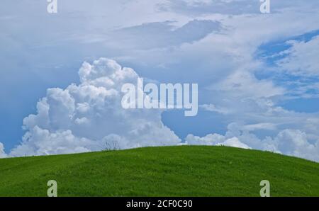 Vista di una collina erbosa poco profonda sotto un cielo nuvoloso con una nuvola di cumulo particolarmente grande visibile Foto Stock