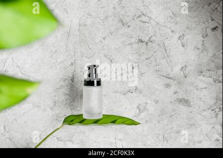 vaso in vetro con gel e coperchio-dispenser nero senza iscrizioni si trova su foglia verde di pianta su fondo grigio in cemento, layout cosmetico Foto Stock
