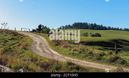 Una strada sterrata che porta accanto ai paddock recintati di An Caseificio australiano nel parco nazionale di Eungella Foto Stock