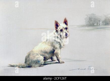 Earl Maud - West Highland White Terrier in un paesaggio - British School - 19 ° secolo Foto Stock