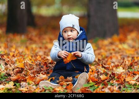 Ragazzo di due anni in autunno foglie. Capretto che gioca all'aperto foglie di acero giallo che cadono giù Foto Stock