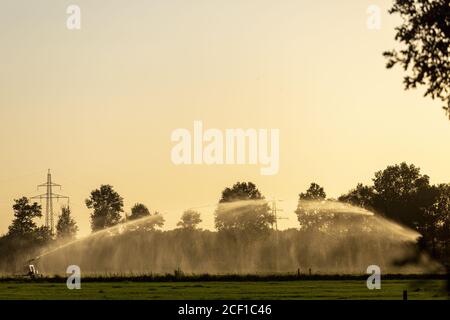 Tramonto terreno agricolo irrigazione acqua canon con goccia Foto Stock