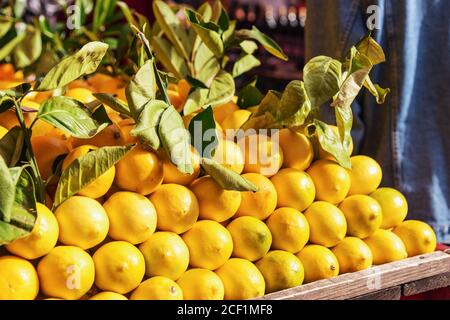 Limoni al mercato, vendemmia autunnale. Agrumi, concetto di cibo sano Foto Stock