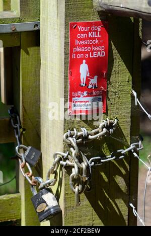 Segno su un gtae che avvertono i proprietari del cane togeep il loro cane su un cavo quando entra in una zona con bestiame. Boughton Monchelsea Village, Kent, Regno Unito. Foto Stock