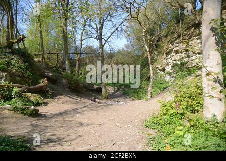 Woodland passeggiata attraverso una cava dismessa a lungo. Boughton Monchelsea Village, Kent, Regno Unito. Foto Stock