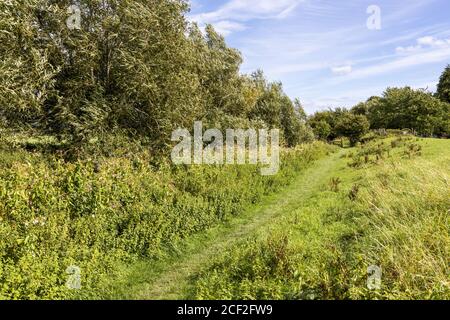 Il Tamigi e la Via Severn lunga distanza sentiero accanto al disusato Stroudwater navigazione vicino Saul, Gloucestershire UK Foto Stock