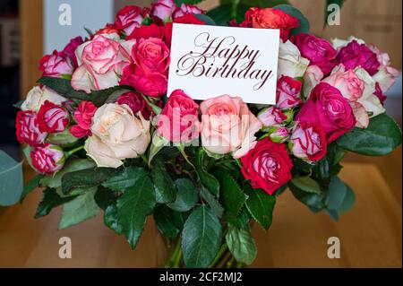 Bouquet di rose rosse, rosa e gialle con buono di buon compleanno. Modello per il biglietto di compleanno. Foto Stock