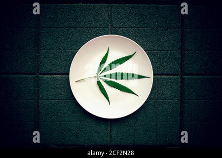 Foglia di cannabis su un piatto bianco. Pavimento piastrellato sfondo. Cannabis vivo resina estrazione su sfondo verde. Concetto di marijuana medica Foto Stock