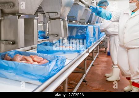 Attrezzature industriali in una fabbrica di carne. Impianto di lavorazione della carne. Attrezzature per la lavorazione della carne. Linea di produzione con confezionamento e taglio di carne. Foto Stock