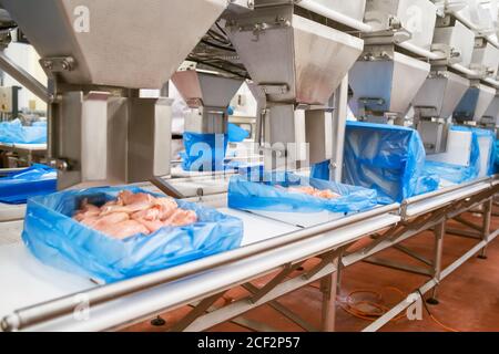 Attrezzature industriali in una fabbrica di carne. Impianto di lavorazione della carne. Attrezzature per la lavorazione della carne. Linea di produzione con confezionamento e taglio di carne. Foto Stock