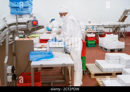 Attrezzature industriali in una fabbrica di carne. Impianto di lavorazione della carne. Attrezzature per la lavorazione della carne. Linea di produzione con confezionamento e taglio di carne. Foto Stock