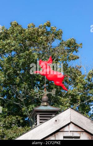 Paletta tempo di maiale volante. Figura divertente dell'idioma del parlato. Foto Stock