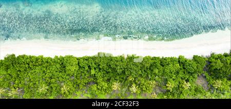 Vista dall'alto, splendida vista aerea di una costa verde con palme da cocco e una bella spiaggia di sabbia bianca bagnata da un turchese. Foto Stock