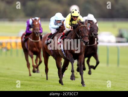 Senza una lotta guidata dal fantino Andrea Atzeni vince la Read Ryan Moore Columns con la gara di handicap betting.betfair all'ippodromo di Haydock Park, Haydock. Foto Stock
