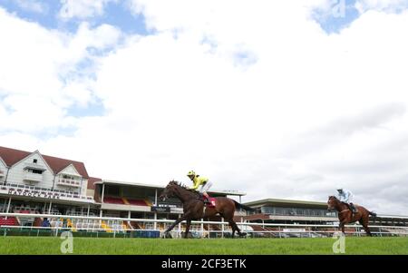 Senza una lotta guidata dal fantino Andrea Atzeni vince la Read Ryan Moore Columns sulla corsa betting.betfair handicap, che si traduce nella sua 1000 a vittoria di carriera nazionale all'ippodromo di Haydock Park, Haydock. Foto Stock