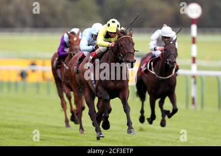 Senza una lotta guidata dal fantino Andrea Atzeni vince la Read Ryan Moore Columns sulla corsa betting.betfair handicap, che si traduce nella sua 1000 a vittoria di carriera nazionale all'ippodromo di Haydock Park, Haydock. Foto Stock