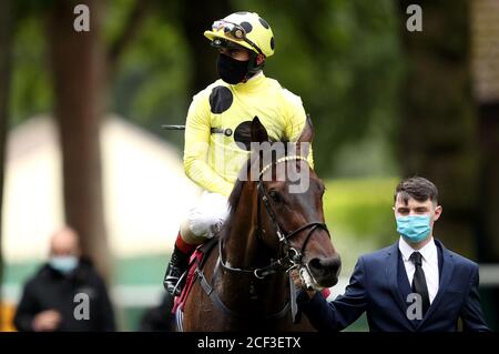 Senza una lotta guidata dal fantino Andrea Atzeni dopo aver vinto le colonne Read Ryan Moore su betting.betfair handicap gara, che si traduce nella sua 1000 ° vittoria carriera nazionale all'ippodromo di Haydock Park, Haydock. Foto Stock